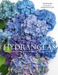 bokomslag Hydrangeas: Beautiful Varieties for Home and Garden