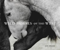 bokomslag Wild Horses of the West