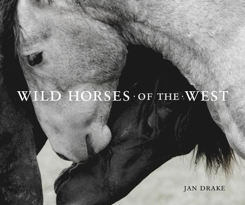 Wild Horses of the West 1