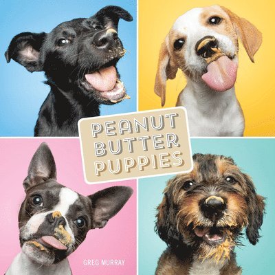 Peanut Butter Puppies 1