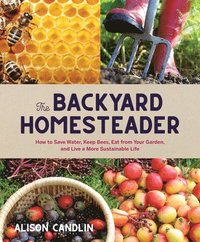 bokomslag Backyard Homesteader