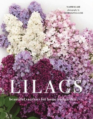 bokomslag Lilacs