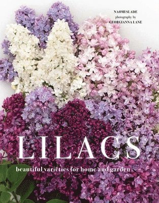 Lilacs: Beautiful Varieties for Home and Garden 1