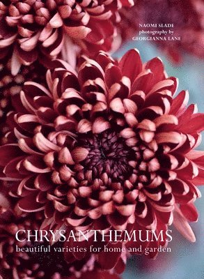 bokomslag Chrysanthemums