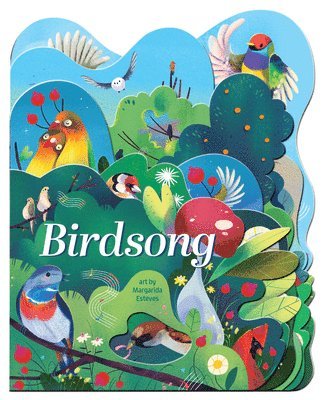 bokomslag Birdsong