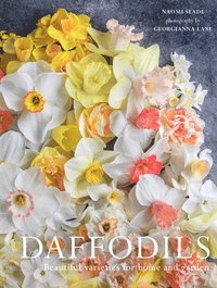 bokomslag Daffodils: Beautiful Varieties for Home and Garden