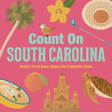 bokomslag Count on South Carolina