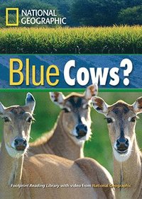 bokomslag Blue Cows?