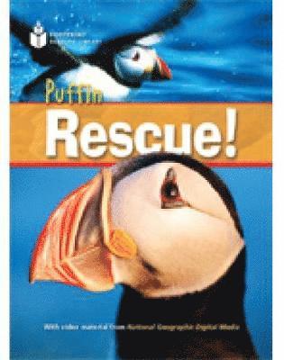 National Geographic, Rob Waring - Puffin Rescue!, Häftad