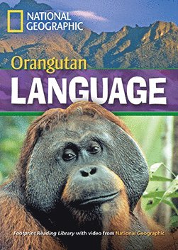 Orangutan Language
