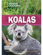 bokomslag Koalas