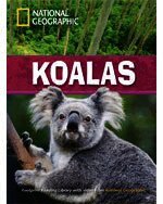 Koalas