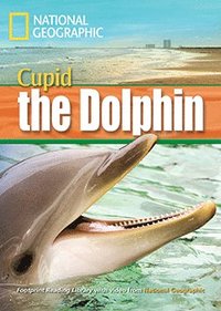 bokomslag A Dolphin Named Cupid