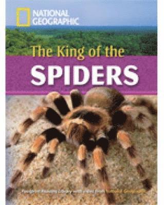 bokomslag The King of the Spiders