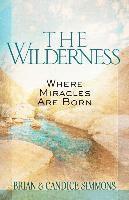 Brian Dr Simmons, Candice Simmons, Brian Simmons - Wilderness: Where Miracles are Born, Häftad