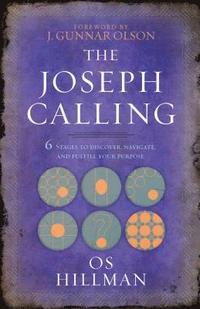 bokomslag The Joseph Calling
