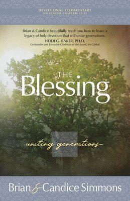bokomslag Blessing