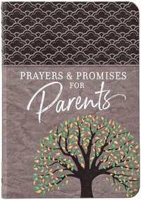 bokomslag Prayers & Promises for Parents