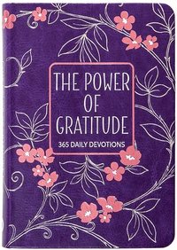 bokomslag Power of Gratitude