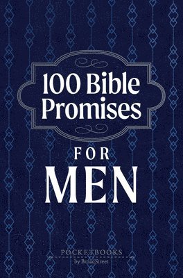 100 Bible Promises for Men