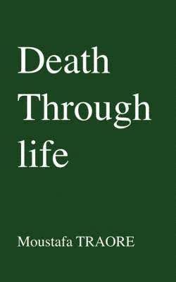 bokomslag Death Through Life