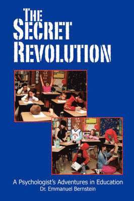 bokomslag Secret Revolution