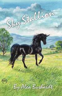 bokomslag Sky Stallion