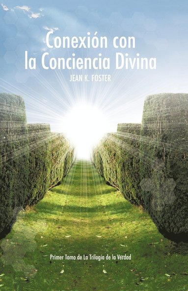 bokomslag Conexion Con La Conciencia Divina