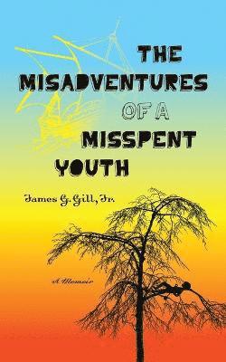 The Misadventures of a Misspent Youth 1