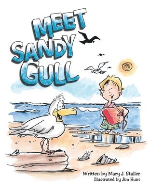 bokomslag Meet Sandy Gull