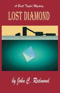 bokomslag Lost Diamond