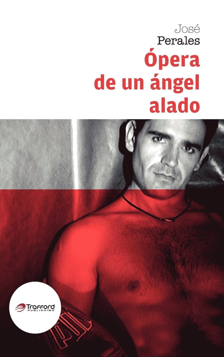 Opera De Un Angel Alado 1
