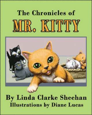 The Chronicles of Mr. Kitty 1