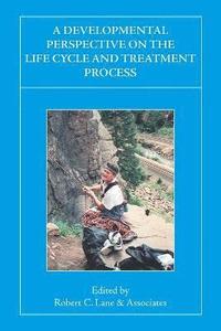 bokomslag A Developmental Perspective on the Life Cycle and Treatment Process