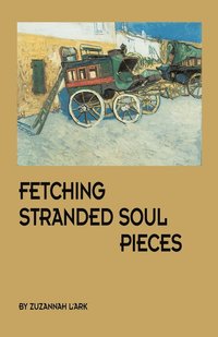 bokomslag Fetching Stranded Soul Pieces