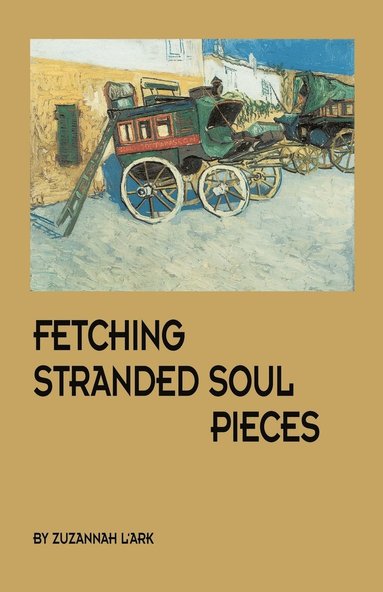 bokomslag Fetching Stranded Soul Pieces