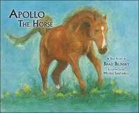 bokomslag Apollo the Horse