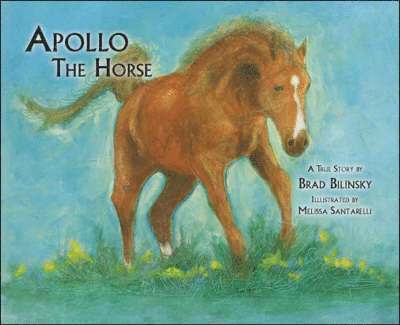 Apollo the Horse 1