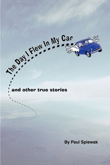 bokomslag Day I Flew in My Car & Other Stories