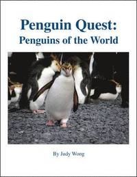 bokomslag Penguin Quest