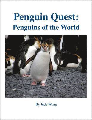 bokomslag Penguin Quest