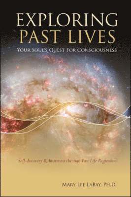 Mary Lee LaBay, Mary Lee Labay, Mary Lee LaBay Ph.D. - Exploring Past Lives, Häftad