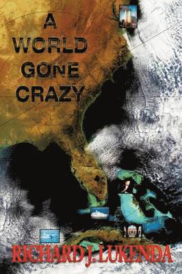 bokomslag World Gone Crazy