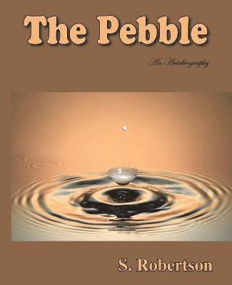 The Pebble 1