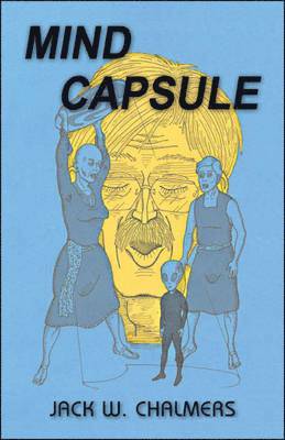 bokomslag Mind Capsule