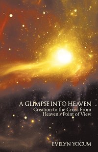 bokomslag Glimpse Into Heaven