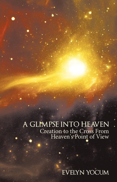 bokomslag Glimpse Into Heaven