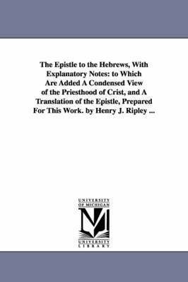 bokomslag The Epistle to the Hebrews, With Explanatory Notes