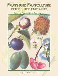 bokomslag Fruits and Fruitculture in the Dutch East Indies
