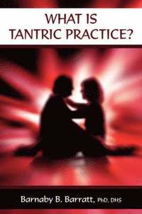 bokomslag What Is Tantric Practice?
